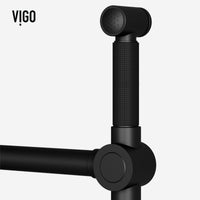 Cass Kitchen Faucet With Sprayer