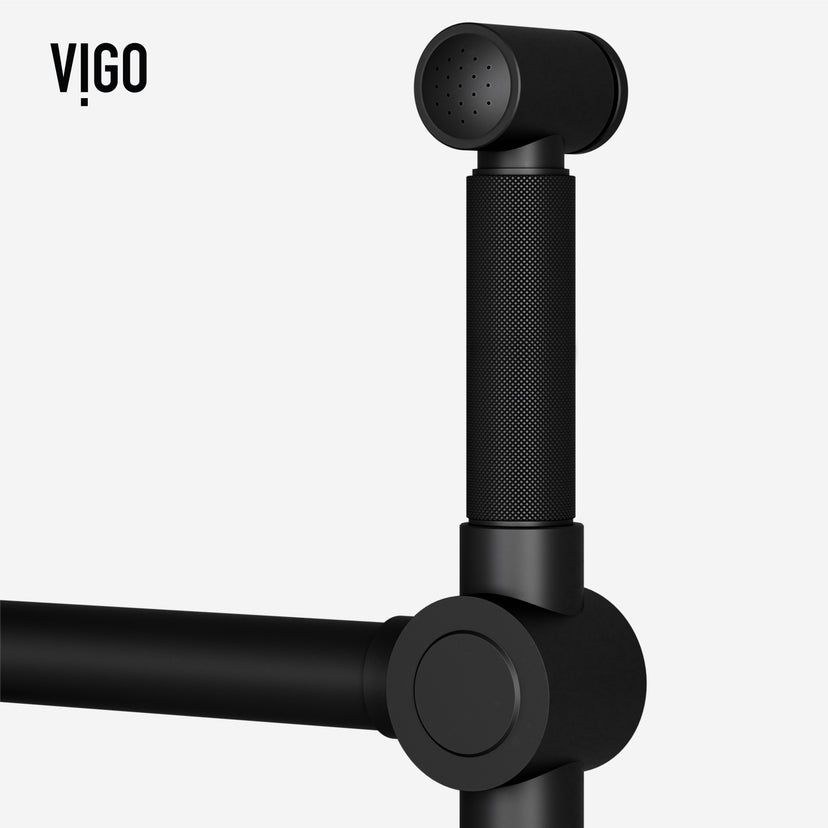 Cass Kitchen Faucet With Sprayer