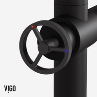 Cass Kitchen Faucet With Sprayer