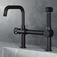 Cass Kitchen Faucet With Sprayer