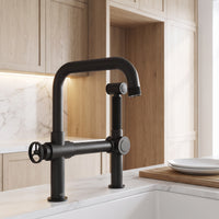 Cass Kitchen Faucet With Sprayer
