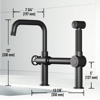 Cass Kitchen Faucet With Sprayer
