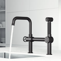 Cass Kitchen Faucet With Sprayer