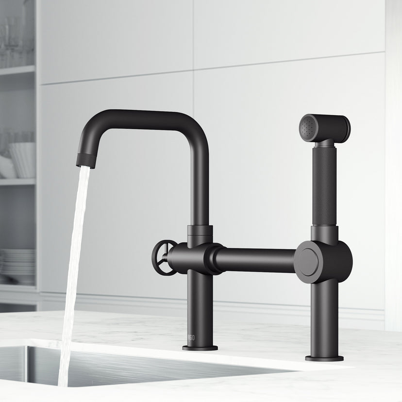 Cass Kitchen Faucet With Sprayer