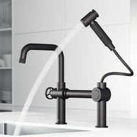 Cass Kitchen Faucet With Sprayer