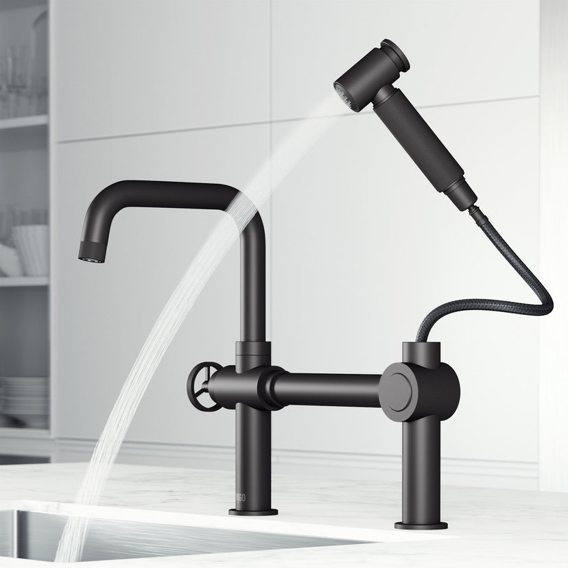 Cass Kitchen Faucet With Sprayer