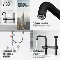 Cass Kitchen Faucet With Sprayer