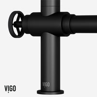 Cass Kitchen Faucet With Sprayer