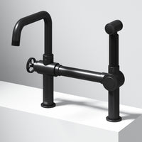 Cass Kitchen Faucet With Sprayer