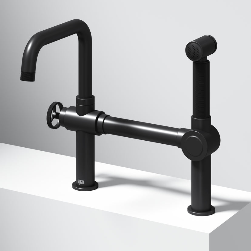 Cass Kitchen Faucet With Sprayer