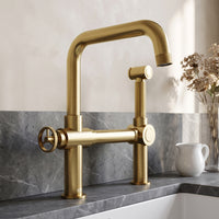 Cass Kitchen Faucet With Sprayer