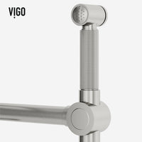 Cass Kitchen Faucet With Sprayer