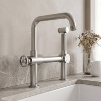 Cass Kitchen Faucet With Sprayer