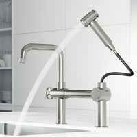 Cass Kitchen Faucet With Sprayer