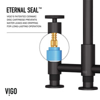 Deck-mounted faucet with high-arc spout and included hose for side spray