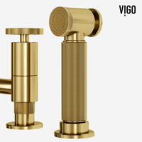 Modern kitchen faucet featuring high-arc design and pre-rinse capability