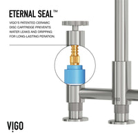 Deck-mounted faucet with high-arc spout and included hose for side spray