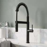 Edison Pro Pull-Down Spray Kitchen Faucet