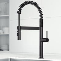 Edison Pro Pull-Down Spray Kitchen Faucet