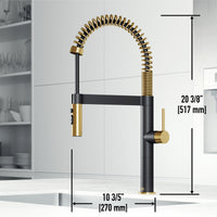 Edison Pro Pull-Down Spray Kitchen Faucet