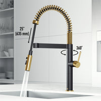 Edison Pro Pull-Down Spray Kitchen Faucet