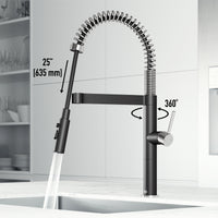 Edison Pro Pull-Down Spray Kitchen Faucet