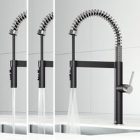 Edison Pro Pull-Down Spray Kitchen Faucet