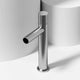 Brushed nickel vessel faucet with high arc spout and lever handle