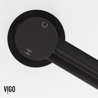 Vessel faucet with included supply lines and lever handle control