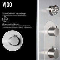 Dilana 67 in. H x 6 in. W 6-Jet Shower Panel System with Adjustable Round Head and Hand Shower Wand in Stainless Steel