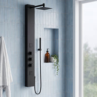 Davidson Rector 2-Jet Shower Panel System