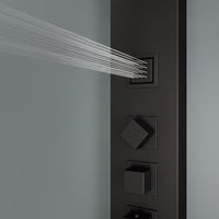 Davidson Rector 2-Jet Shower Panel System
