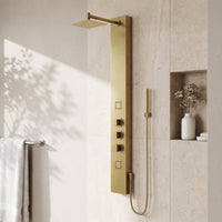 Davidson Rector 2-Jet Shower Panel System