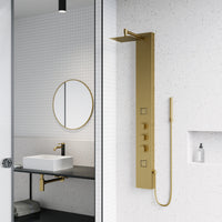 Davidson Rector 2-Jet Shower Panel System
