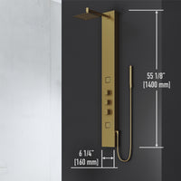 Davidson Rector 2-Jet Shower Panel System