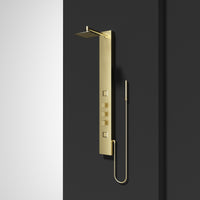 Davidson Rector 2-Jet Shower Panel System