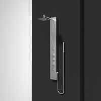 Davidson Rector 2-Jet Shower Panel System