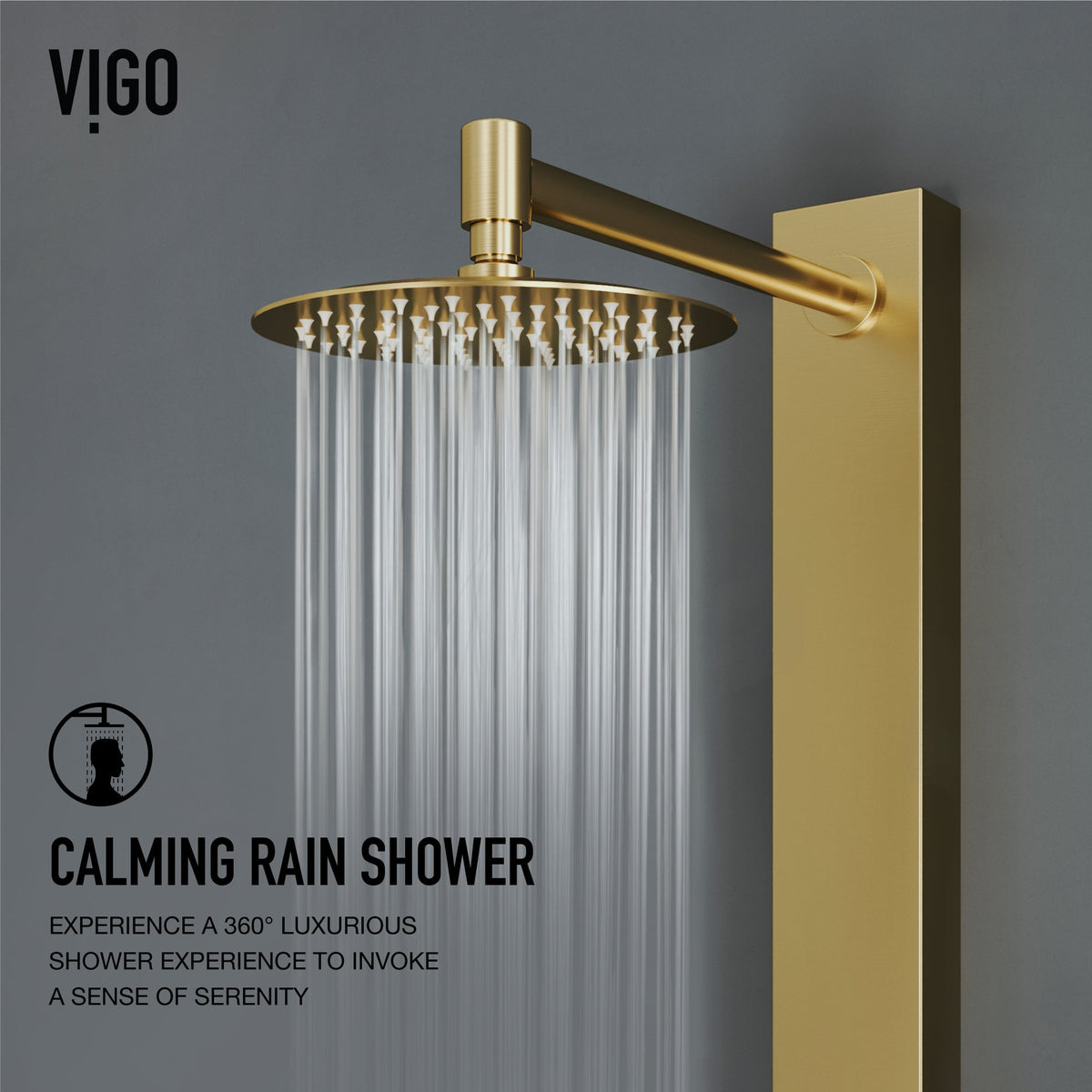 Diverter cartridge shower system with included hardware and hose
