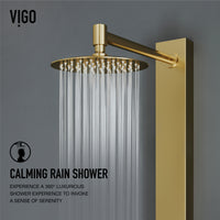 Meridian Retrofit 2-Jet Shower Panel System