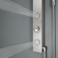 Stainless steel showerhead on stainless steel panel with flexible connection