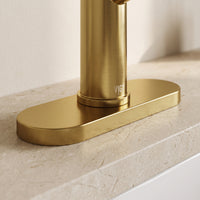Paloma Bathroom Deck Plate