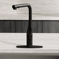 Contemporary kitchen faucet accessory with matte black finish