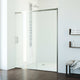 Amada Frameless Sliding Shower Door