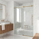Elan E-Class 56 to 60 in. W X 76 in. H Frameless Sliding Shower Door 3/8