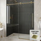 Elan E-Class 56 to 60 in. W X 76 in. H Frameless Sliding Shower Door 3/8