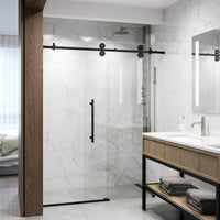 Elan Frameless Sliding Shower Door
