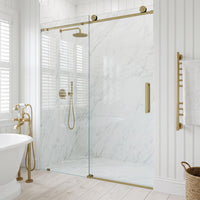 Elan VMotion™ Frameless Sliding Shower Door