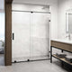 Ryland Frameless Sliding Shower Door