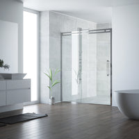 Erie 59 1/2 to 60 1/2 in. W x 74 in. H Sliding Framed Shower Door in Chrome with 3/8 in. (10mm) Clear Glass