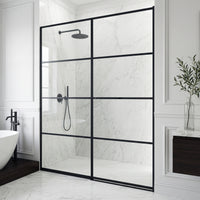 Meridian Hinged Shower Door